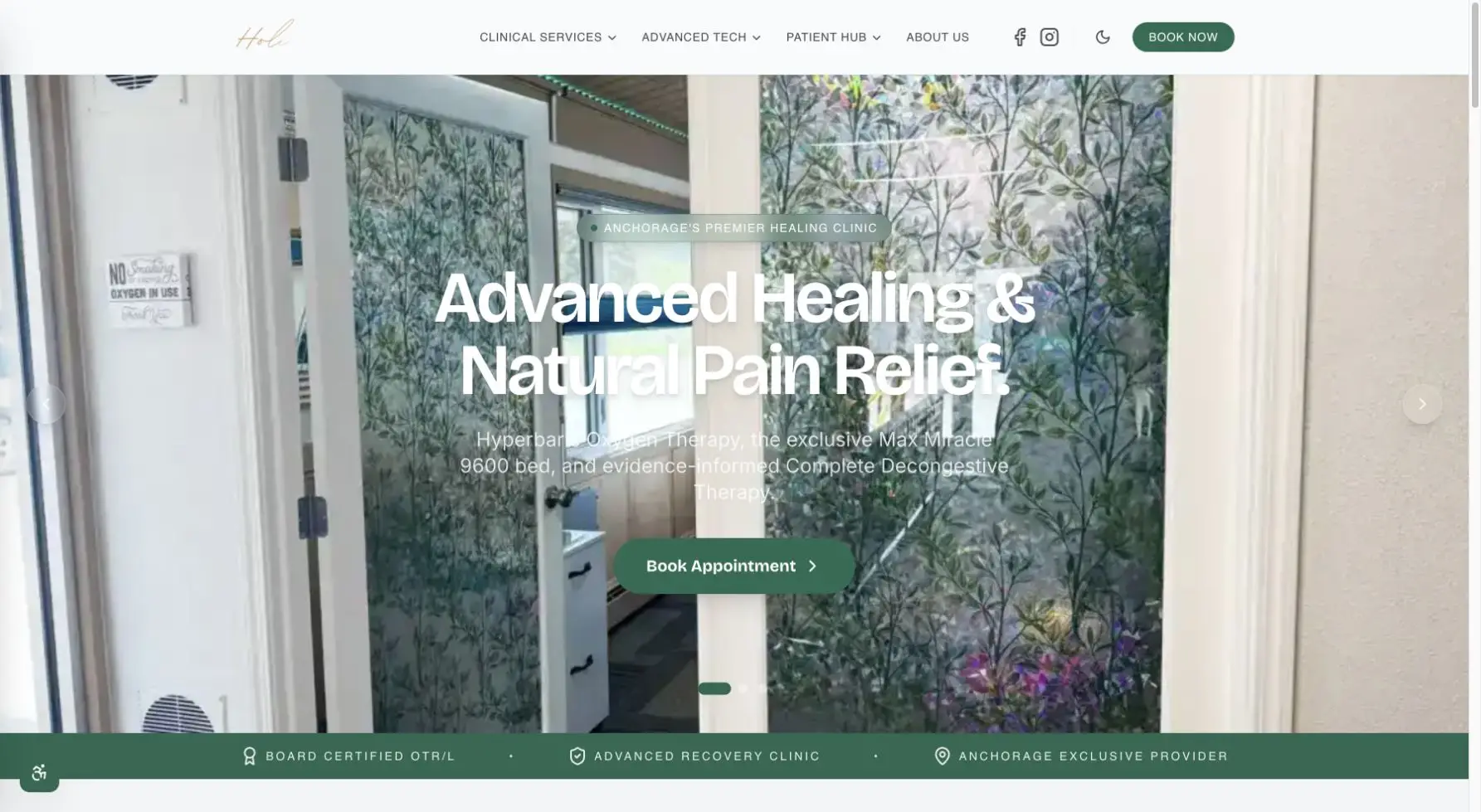 Desktop screenshot of Holistic Alaska on holisticalaska.com